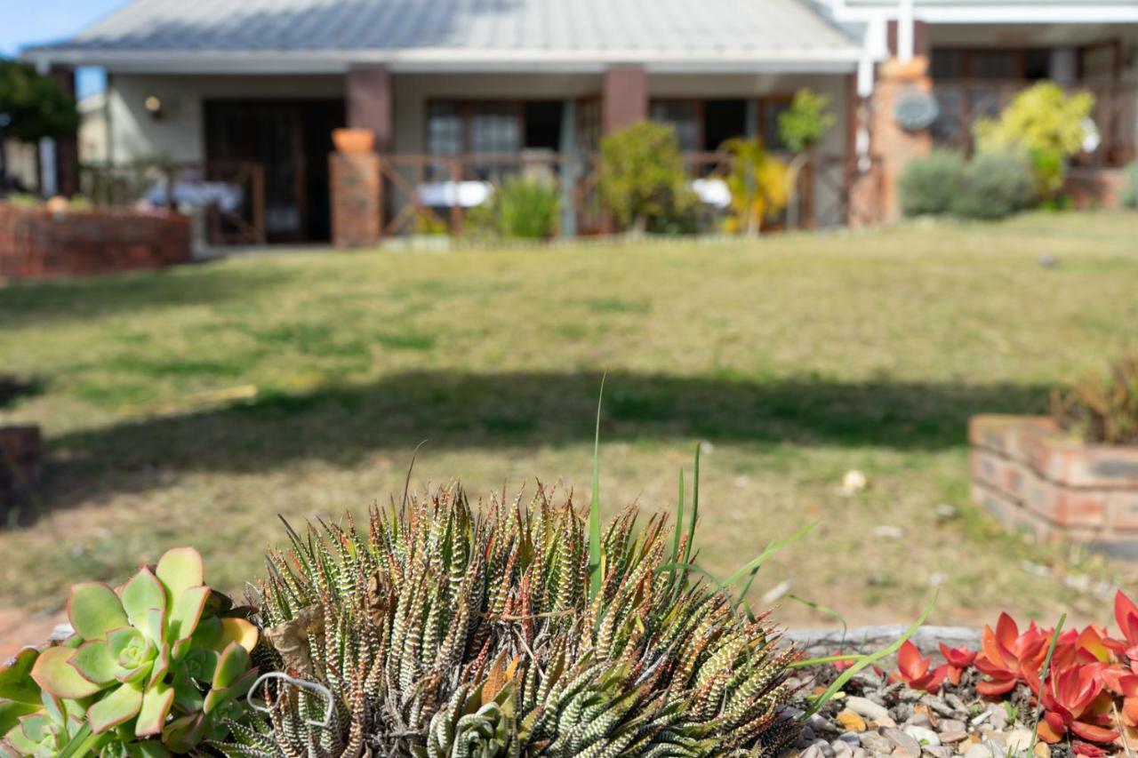 Guest House Arosfa Mossel Bay Exterior photo